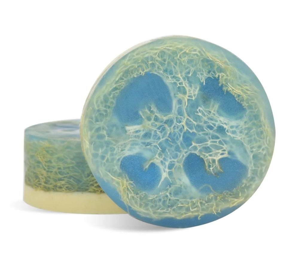 Oceannaire Loofah Soap Watering Soule